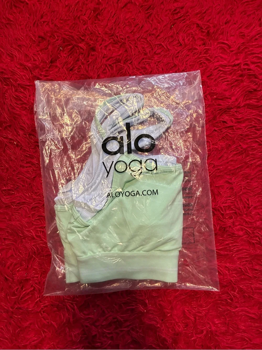 ALO Yoga Mint Green Sports Bra with Scoop Back
